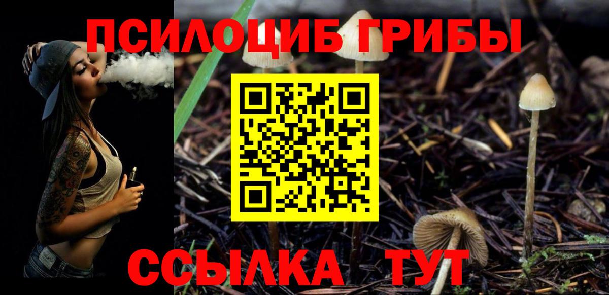 Родники  Галлюциногенные грибы Psilocybine cubensis  Вход с VPN  Галлюциногенные грибы GOLDEN TEACHER 