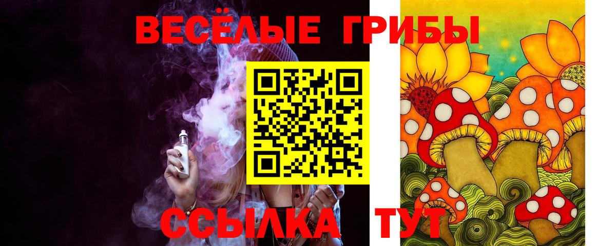 Псилоцибиновые грибы Psilocybe Родники
